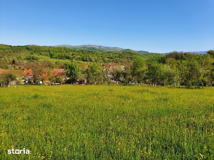 Teren de 3040 mp, în Tomești
