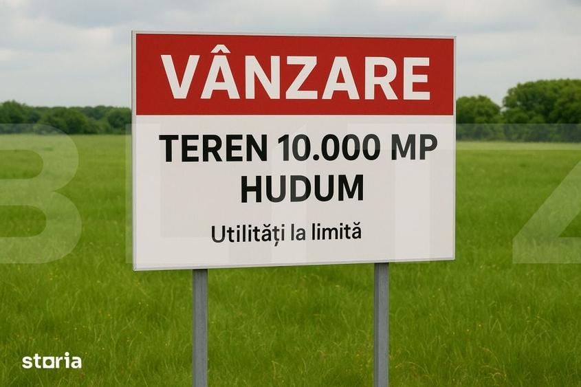 Teren de 10000 mp, în Curtești