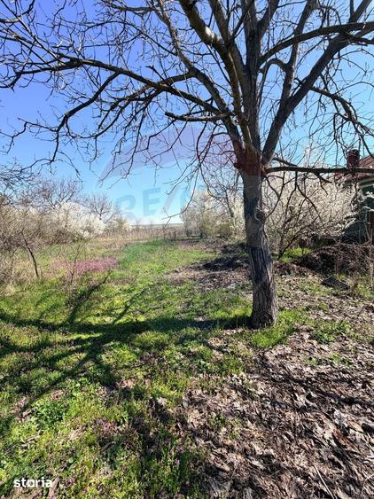 Teren de 3700 mp, în Iancu Jianu