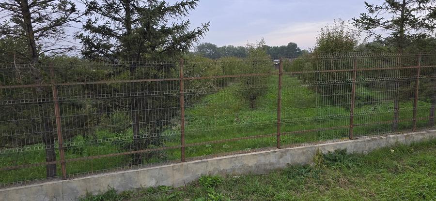 Teren agricol extravilan de 18000 mp, în Boțârlău