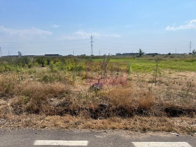 Teren agricol intravilan de 1686 mp, în Domnești