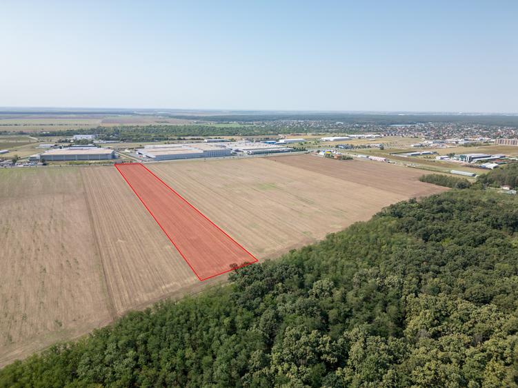 Teren Construcții intravilan de 21500 mp, în Brănești