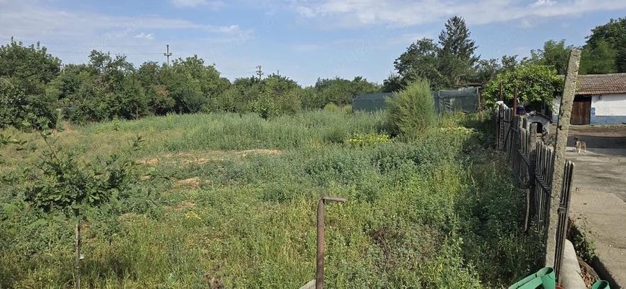 Casă cu Teren 2634 Mp în Chirnogeni
