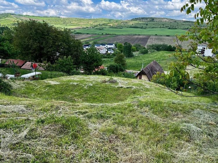 Teren de 600 mp, în Bărdești