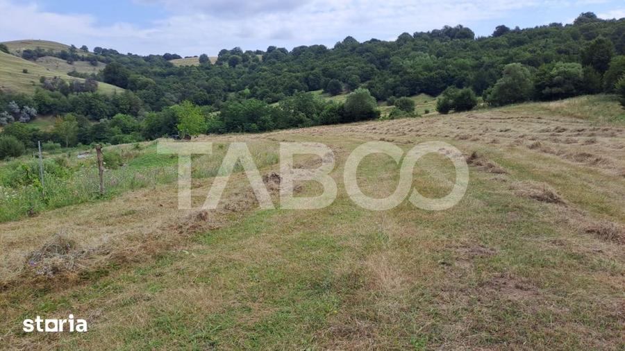 Teren de vanzare langa padure 15600 mp in Hamba Sibiu - 2