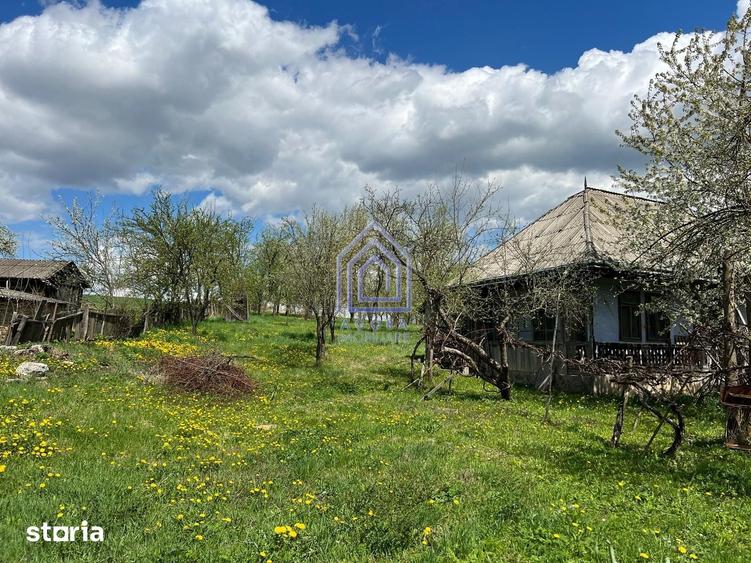 Teren de 4872 mp, în Forăști