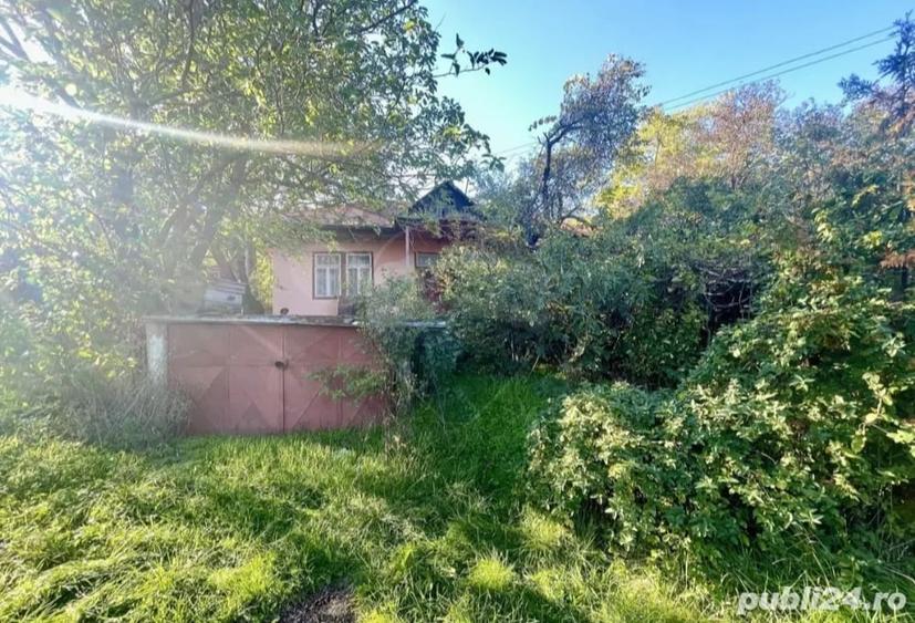Casă cu 3 camere cu Teren 5245 Mp în Șerbănești