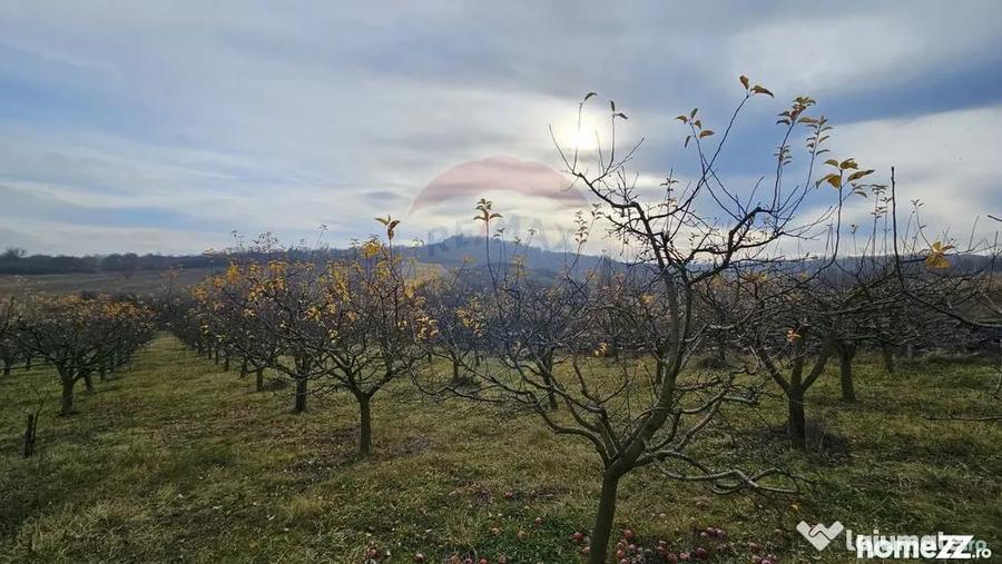 Teren de 10791 mp, în Fălticeni