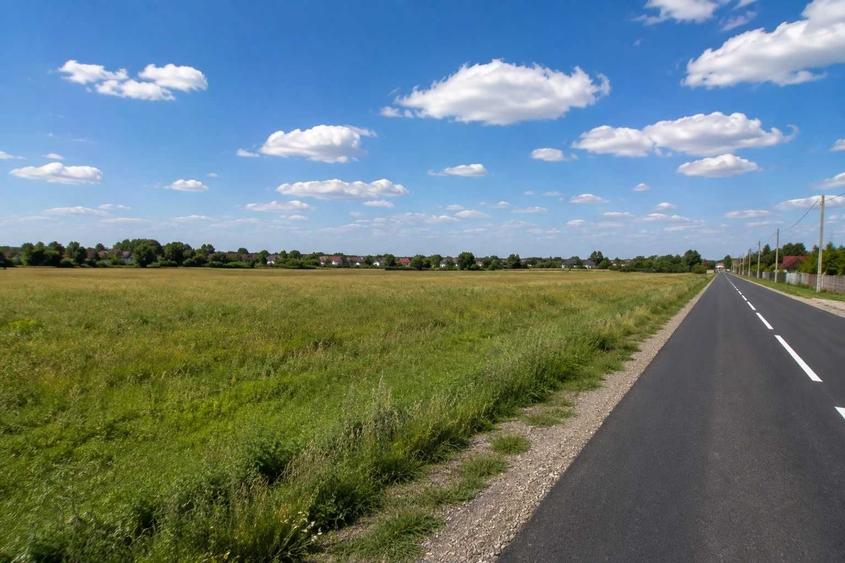 Teren de 1600 mp, în Domnești