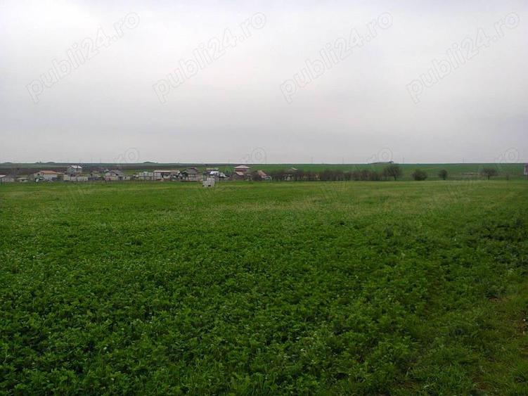 Teren de 7500 mp, în Central