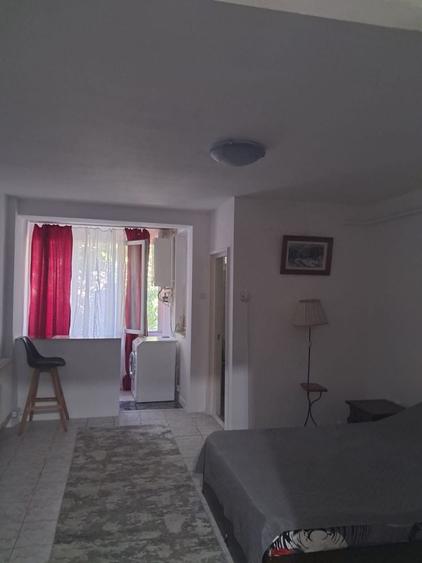 Ofer spre inchiriere garsoniera, Strada Pietatii (langa Sala Polivalenta), parter ,pret 1000 lei - 7