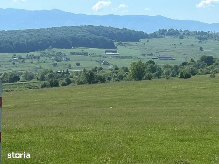Teren de 400 mp, în Central