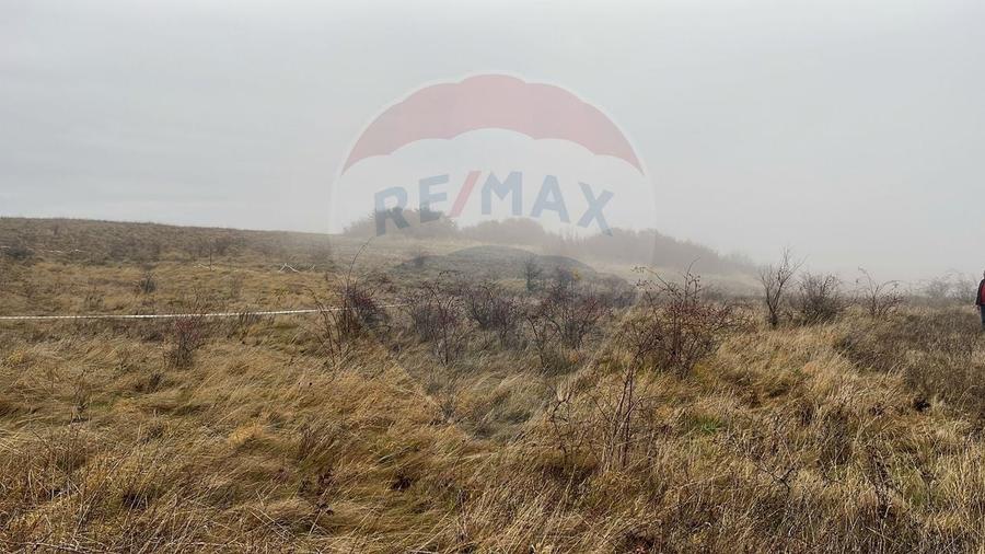 Teren agricol extravilan de 623 mp, în Nord-Est
