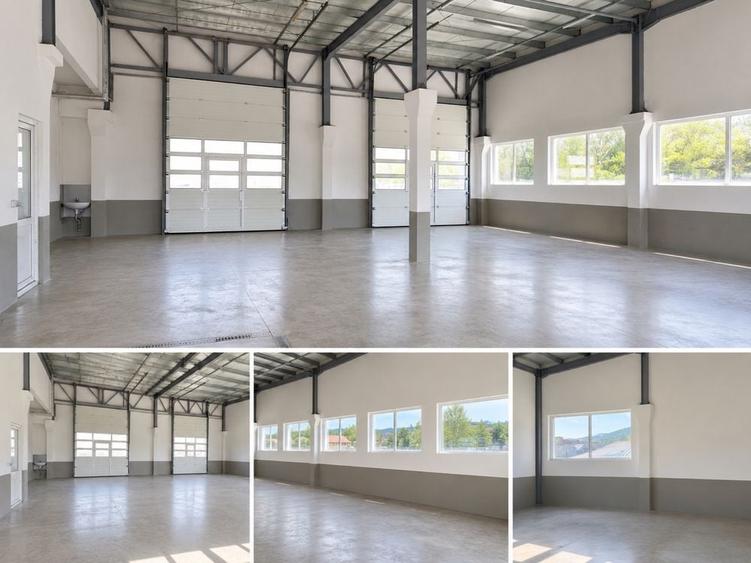 Spațiu comercial, de 400 mp, în Petru Rareș