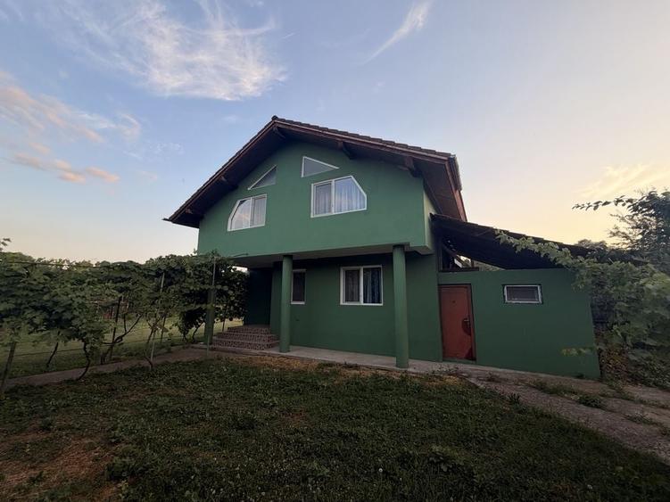 Casă cu 4 camere cu Teren 3500 Mp în Husnicioara