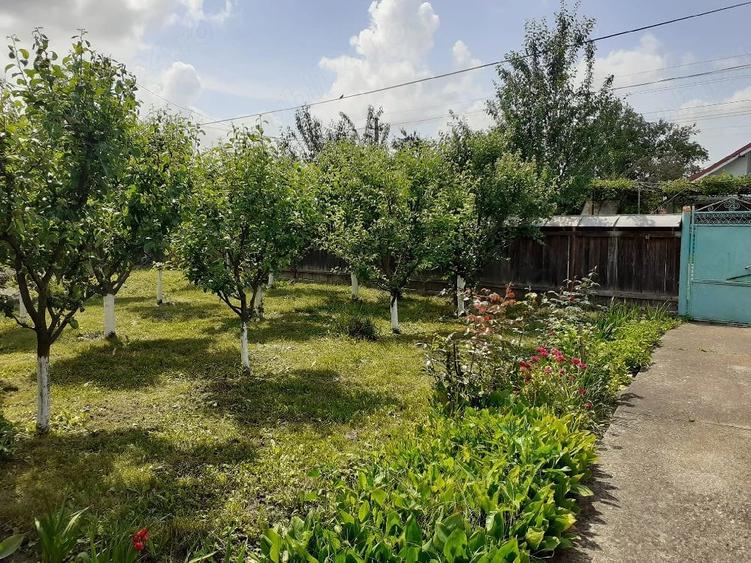 Casă cu Teren 1500 Mp în Români
