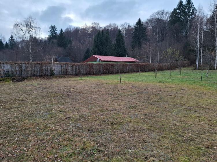 Teren Construcții intravilan de 2000 mp, în Sud-Vest