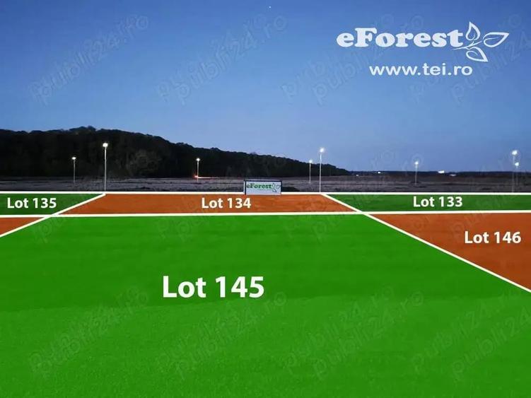 Loturi de teren in eForest, dupa Buftea, cu acces direct la DN1A - 3