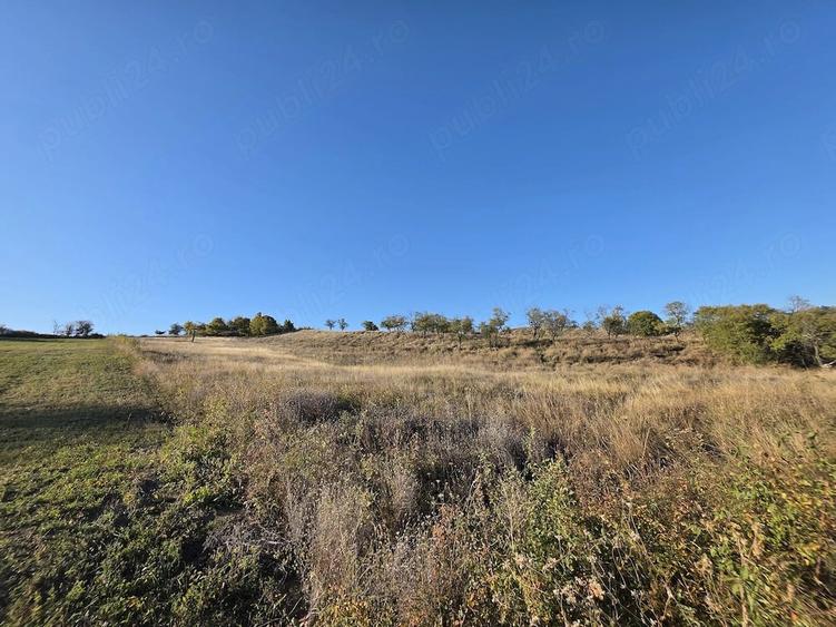 Teren de 9700 mp, în Dănulești