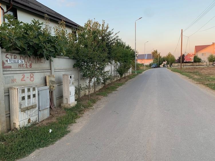 Teren în Domnești