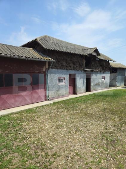 Casă individuală cu 5 camere cu Teren 2300 Mp în Exterior Sud