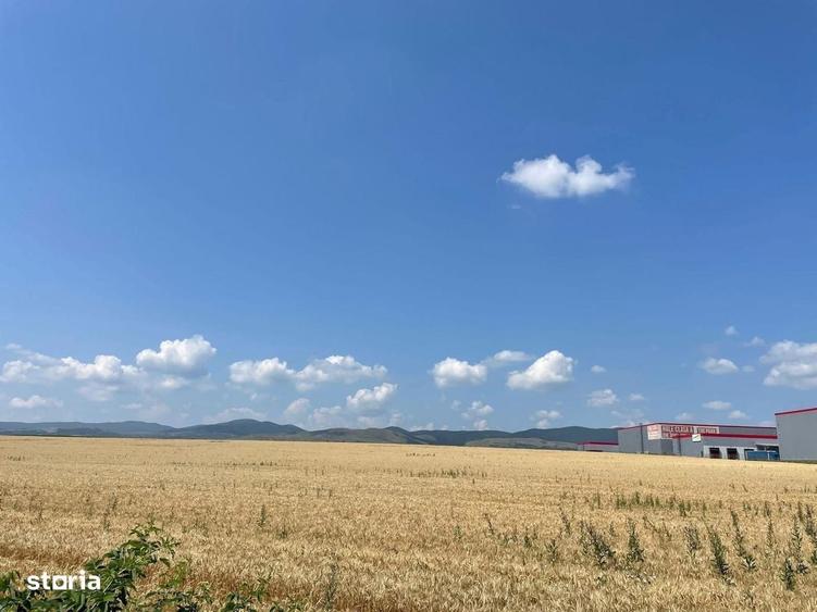 Spațiu comercial, în Tunari