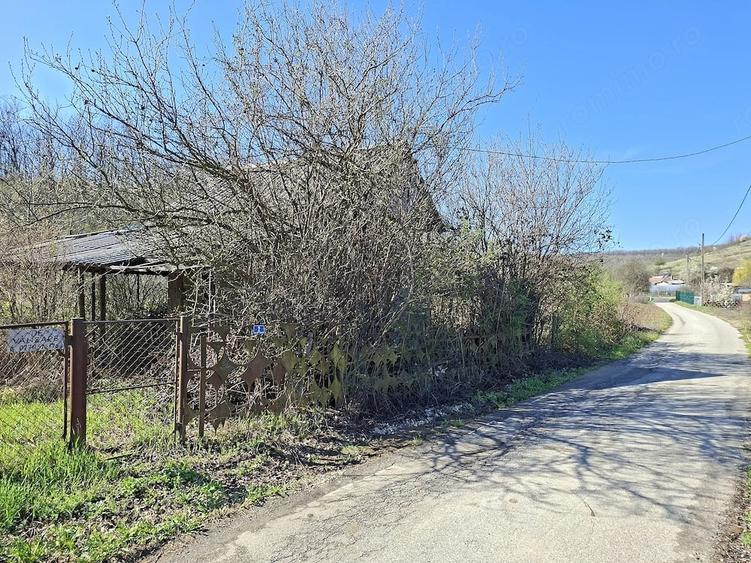Teren de 2600 mp, în Dobrușa