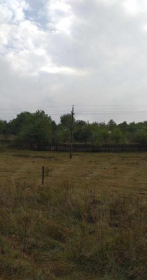 Teren de 4600 mp, în Central