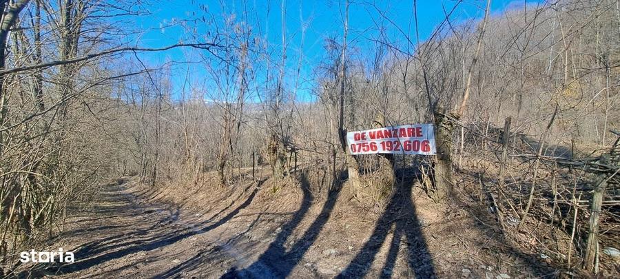 Spațiu comercial, în Podul Lung