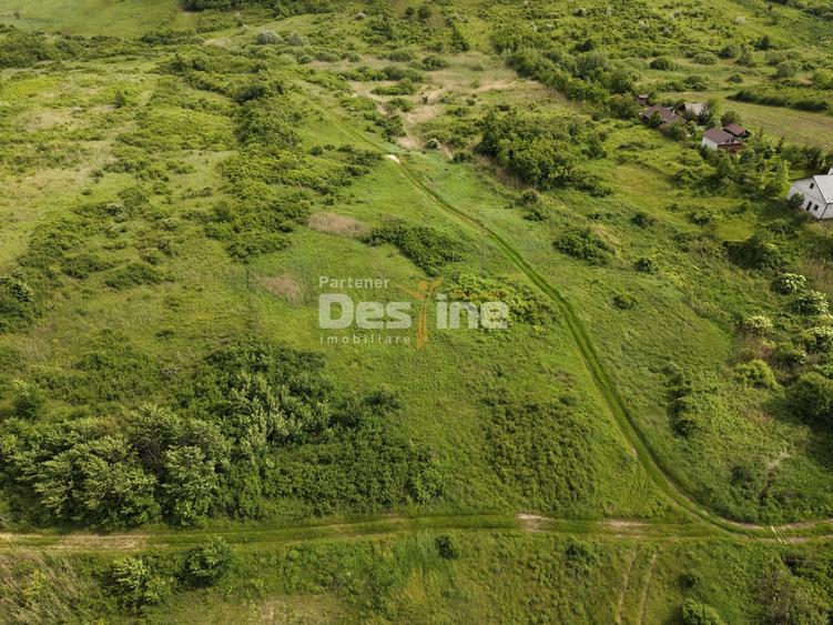 Teren agricol extravilan de 7172 mp, în Valea Ursului