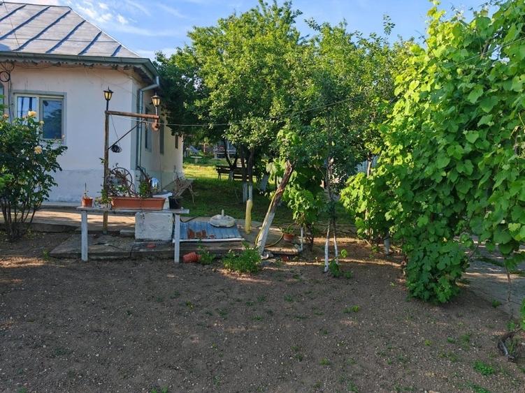 Casă cu 4 camere cu Teren 3000 Mp în Central