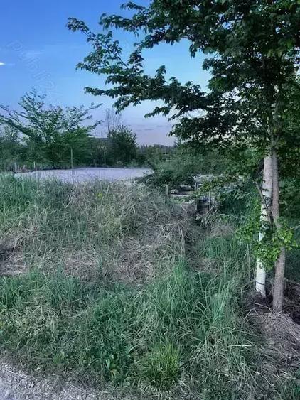 Teren de 2300 mp, în Ciolpani
