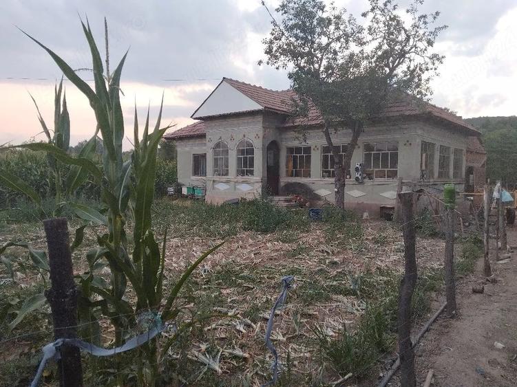 Casă cu Teren 3700 Mp în Verguleasa