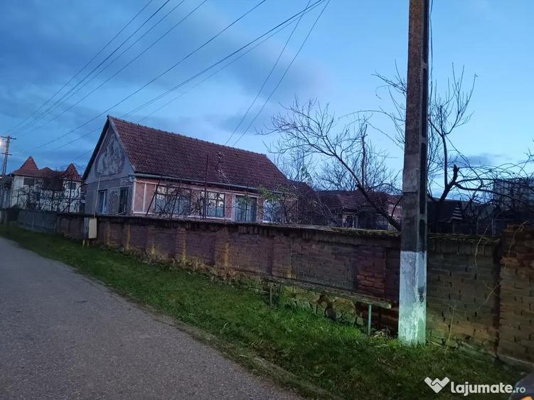 Vand casa ?i gradina - 8