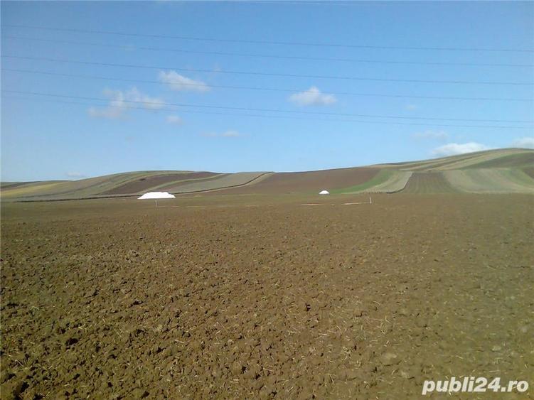 Teren de 3935 mp, în Nazna
