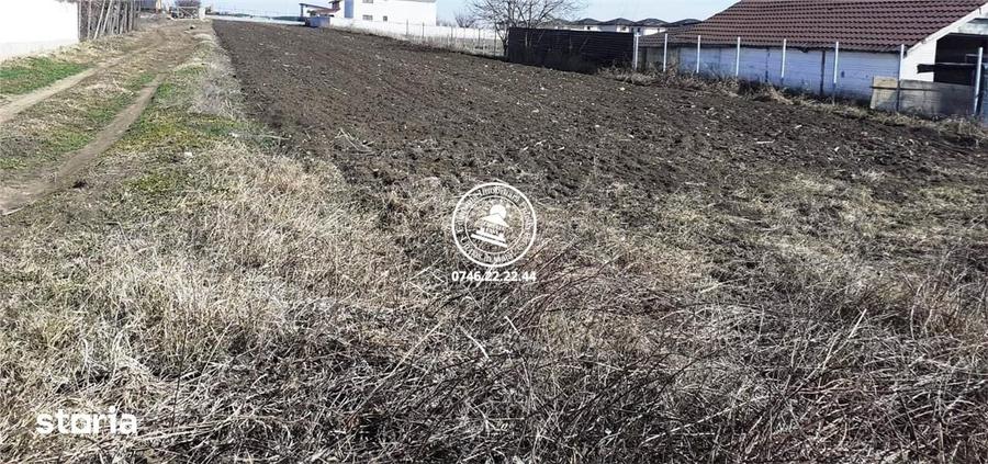 Teren pentru constructii case de vanzare Iasi, Valea Lupului, - 1
