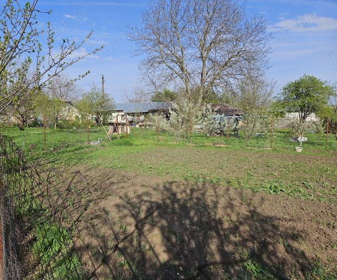 Casă cu 3 camere cu Teren 1600 Mp în Spătărei