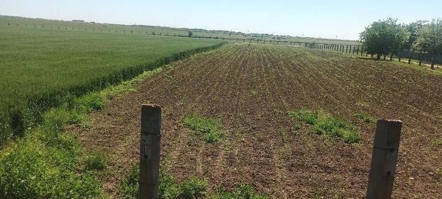 Teren de 16600 mp, în Surdila-Greci
