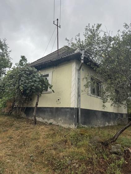 Casă cu 3 camere în Urmeniș