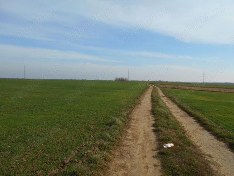 Teren de 12113 mp, în Vidra