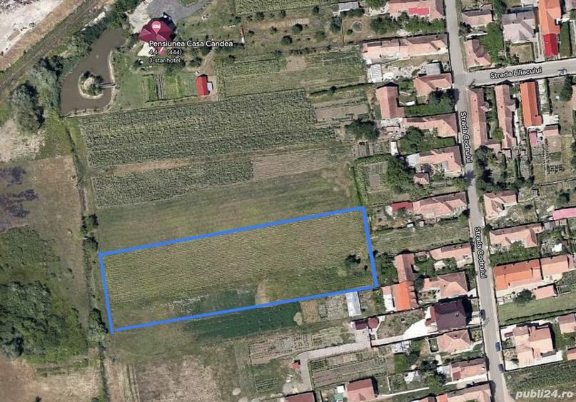 Teren de 4550 mp, în Albești