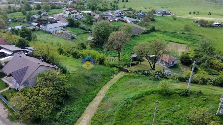 Teren intravilan de 9000 mp, în Vânători