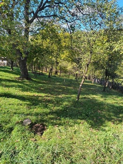 Teren de 3163 mp, în Brebu