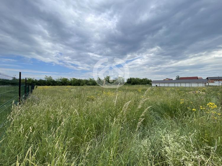 Teren Construcții intravilan de 3100 mp, în Cristian