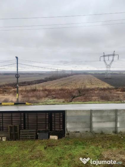 Casă cu 4 camere cu Teren 1380 Mp în Brazi
