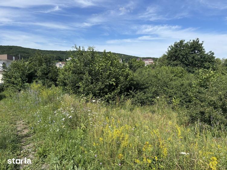 Teren intravilan Manastur/zona Campului - 1