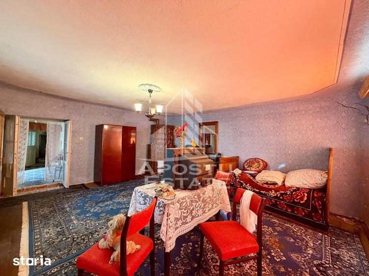 Casă cu 3 camere cu Teren 1750 Mp în Sânandrei