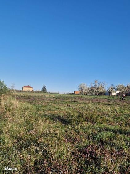 Teren de 3100 mp, în Paleu
