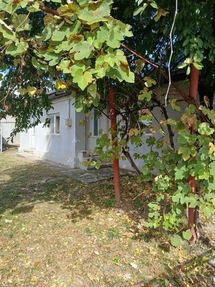 Casă cu 2 camere în Bănești