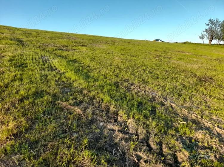 Teren de 9400 mp, în Remetea Chioarului